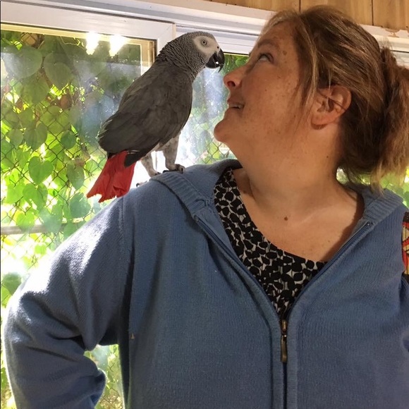 Meet your Posher, Chonta - Picture 2 of 8